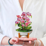 Mini Orchid Oasis - FreshCut Paper