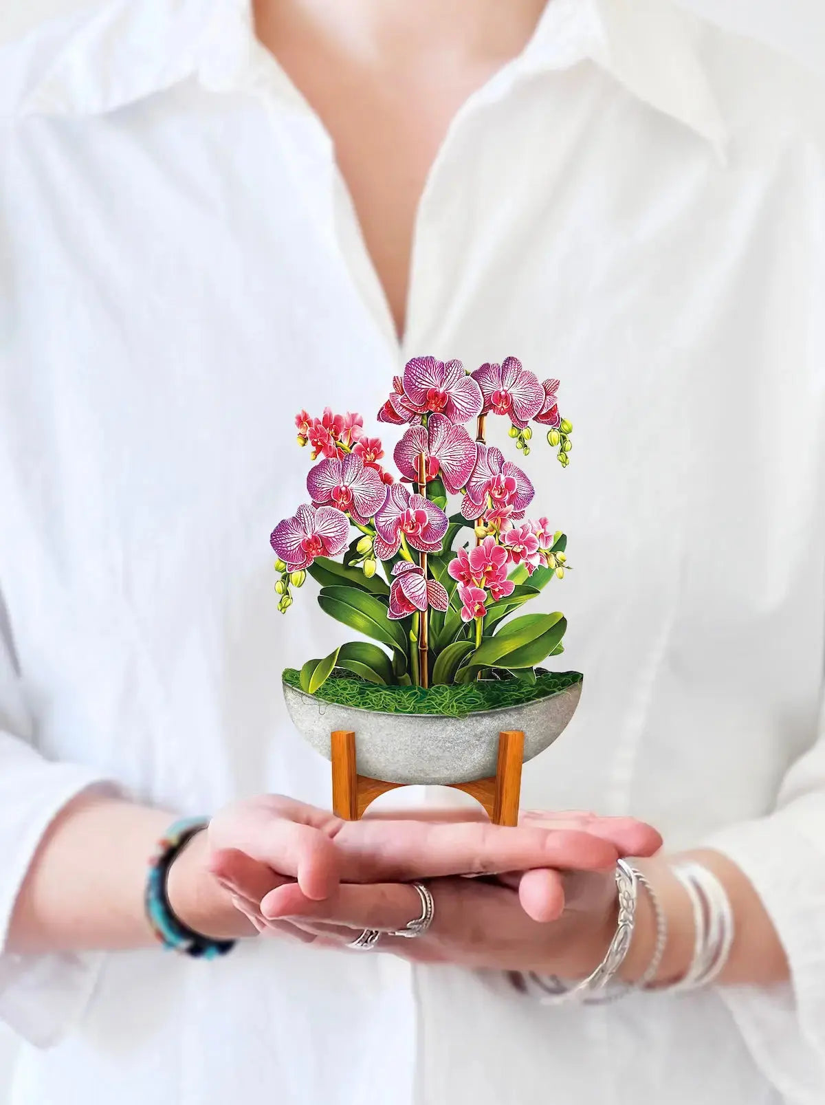 Mini Orchid Oasis - FreshCut Paper