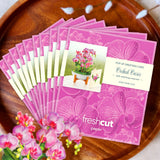 Mini Orchid Oasis Pop-Up Card FreshCut Paper