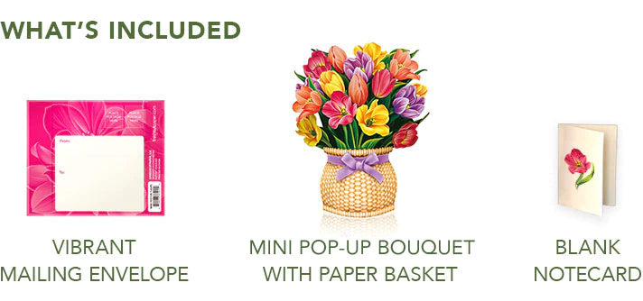 Mini Festive Tulips