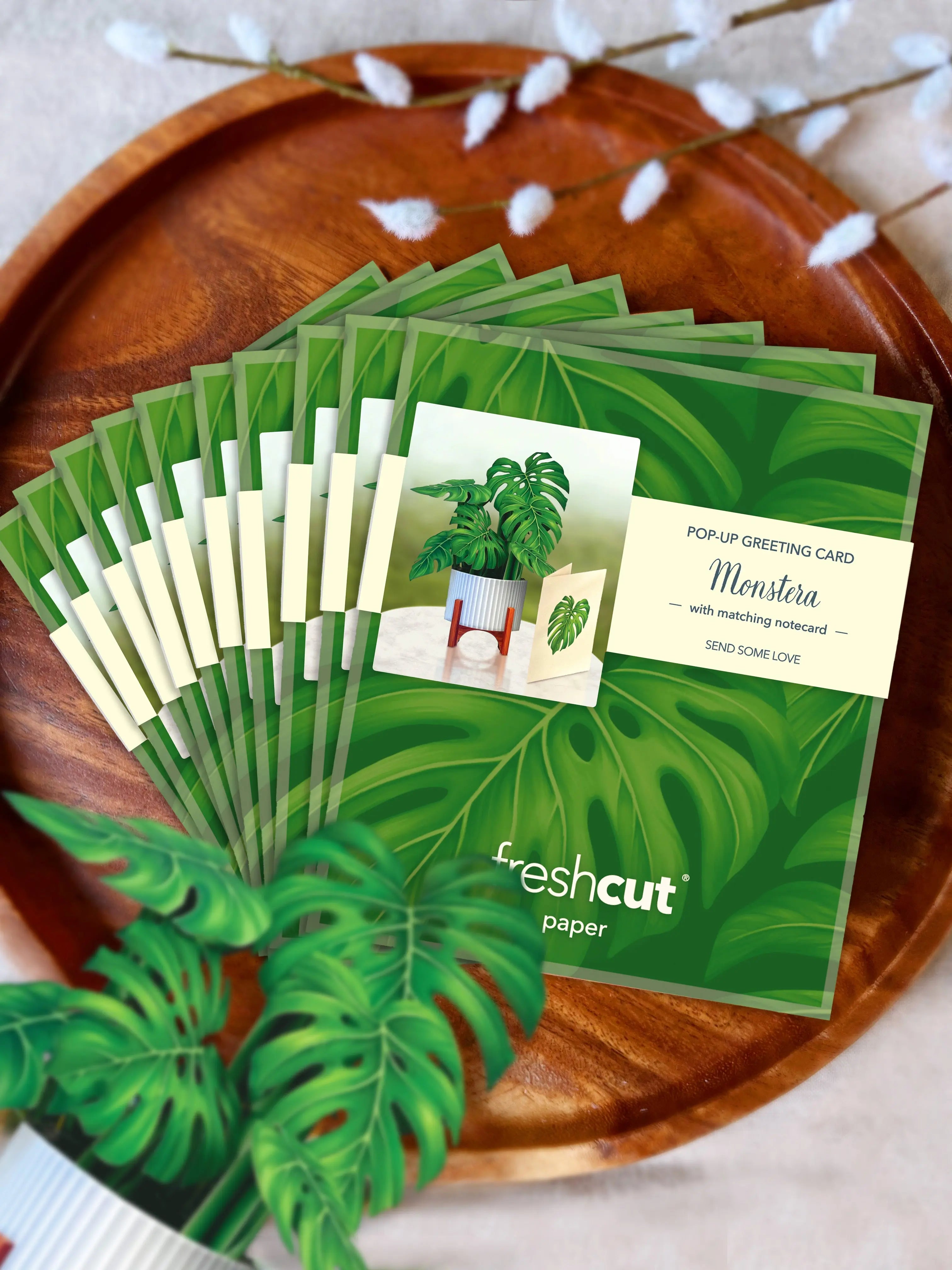 Mini Monstera Pop-Up Card FreshCut Paper