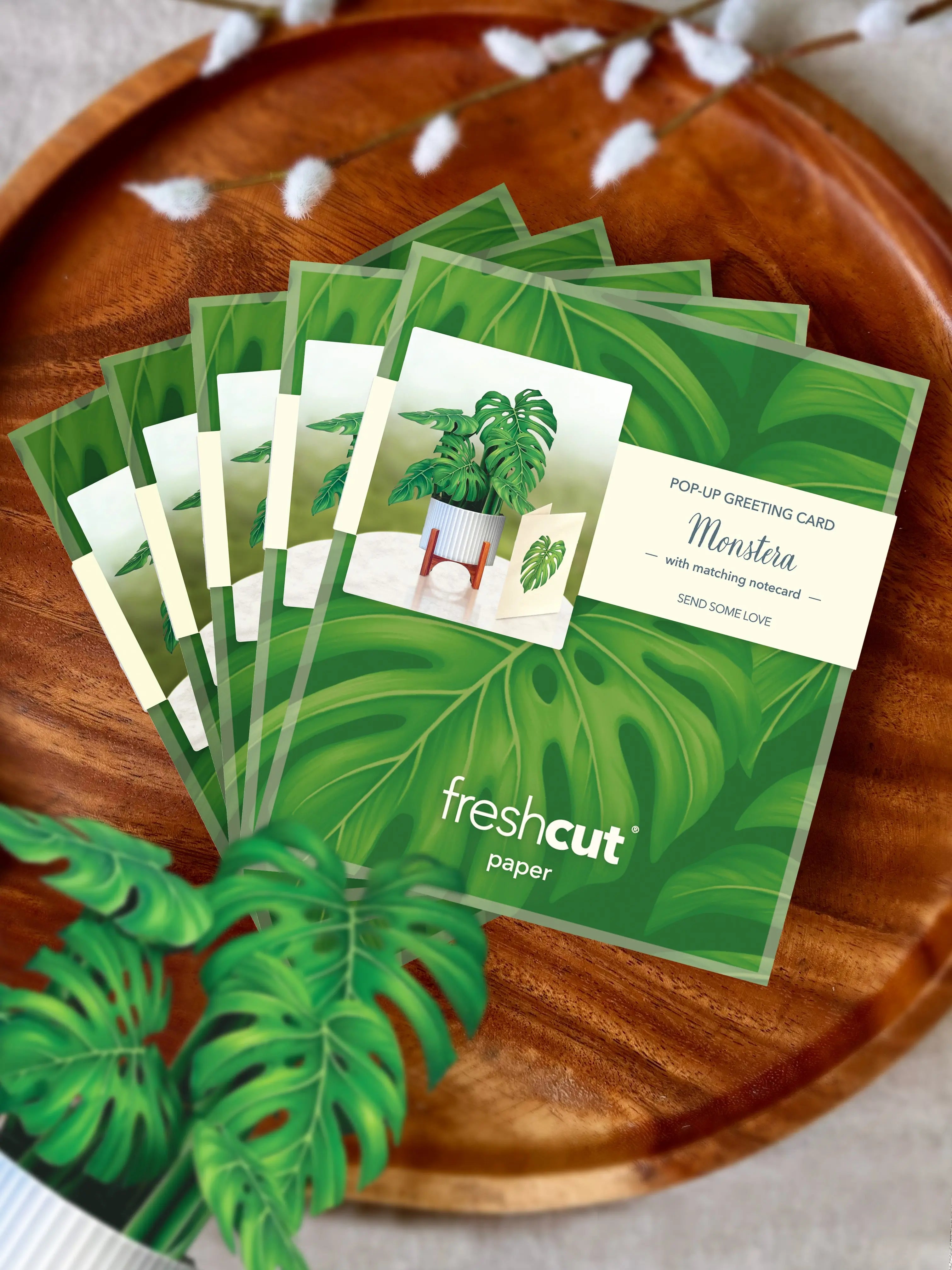 Mini Monstera Pop-Up Card FreshCut Paper