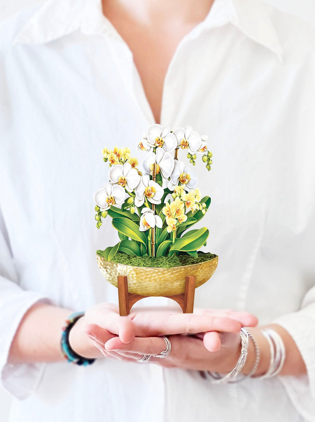 Mini Serenity Orchid