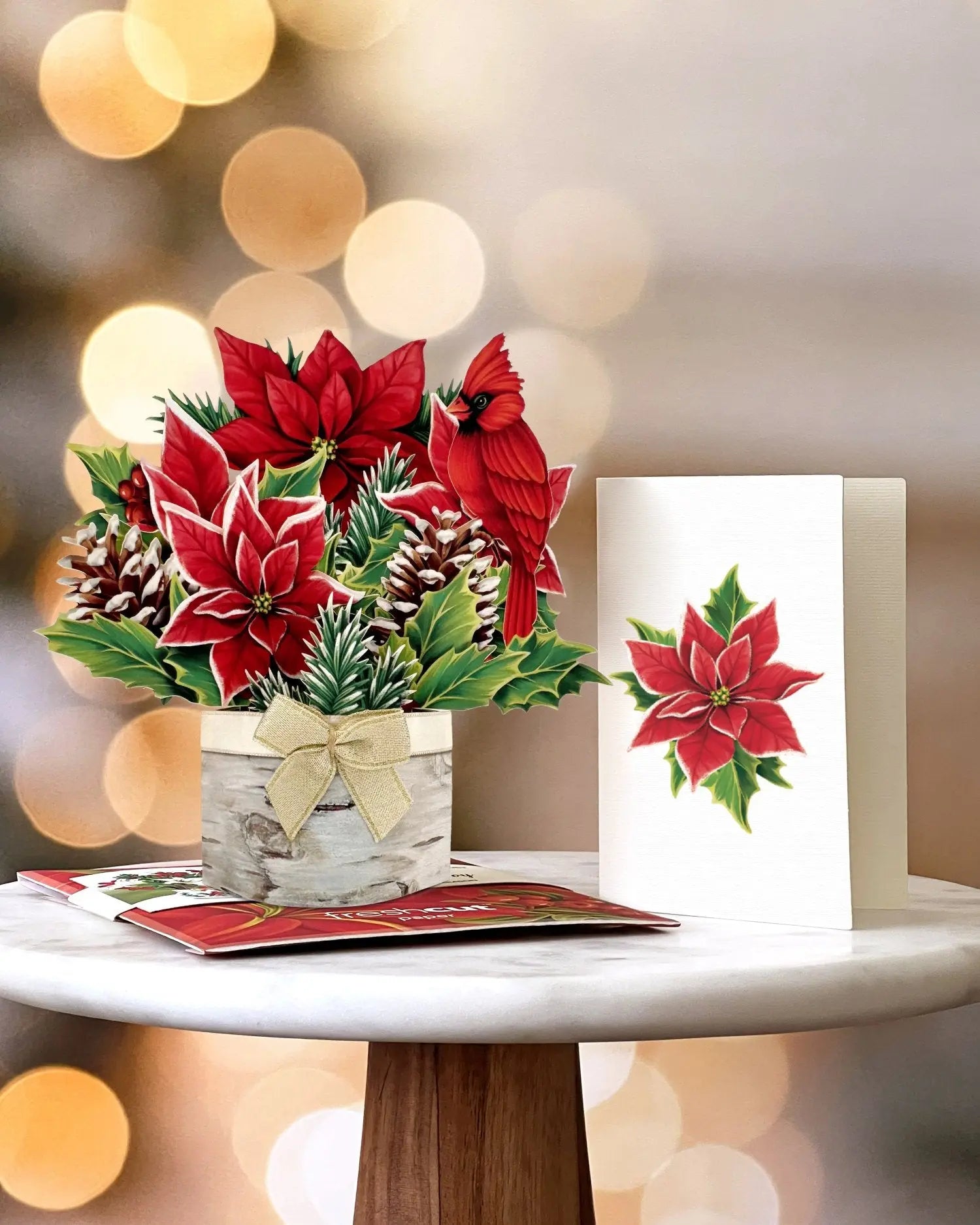 Mini Birch Poinsettia with Notecard