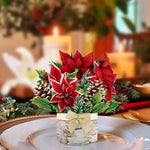 Mini Birch Poinsettia on Table