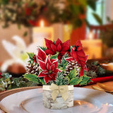 Mini Birch Poinsettia on Table