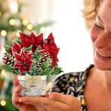 Mini Birch Poinsettia with Model