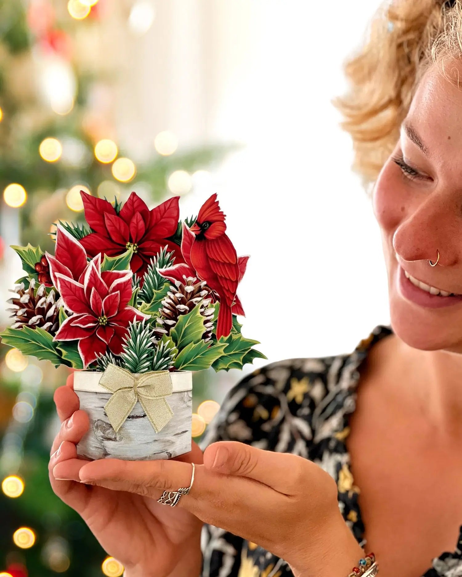 Mini Birch Poinsettia with Model