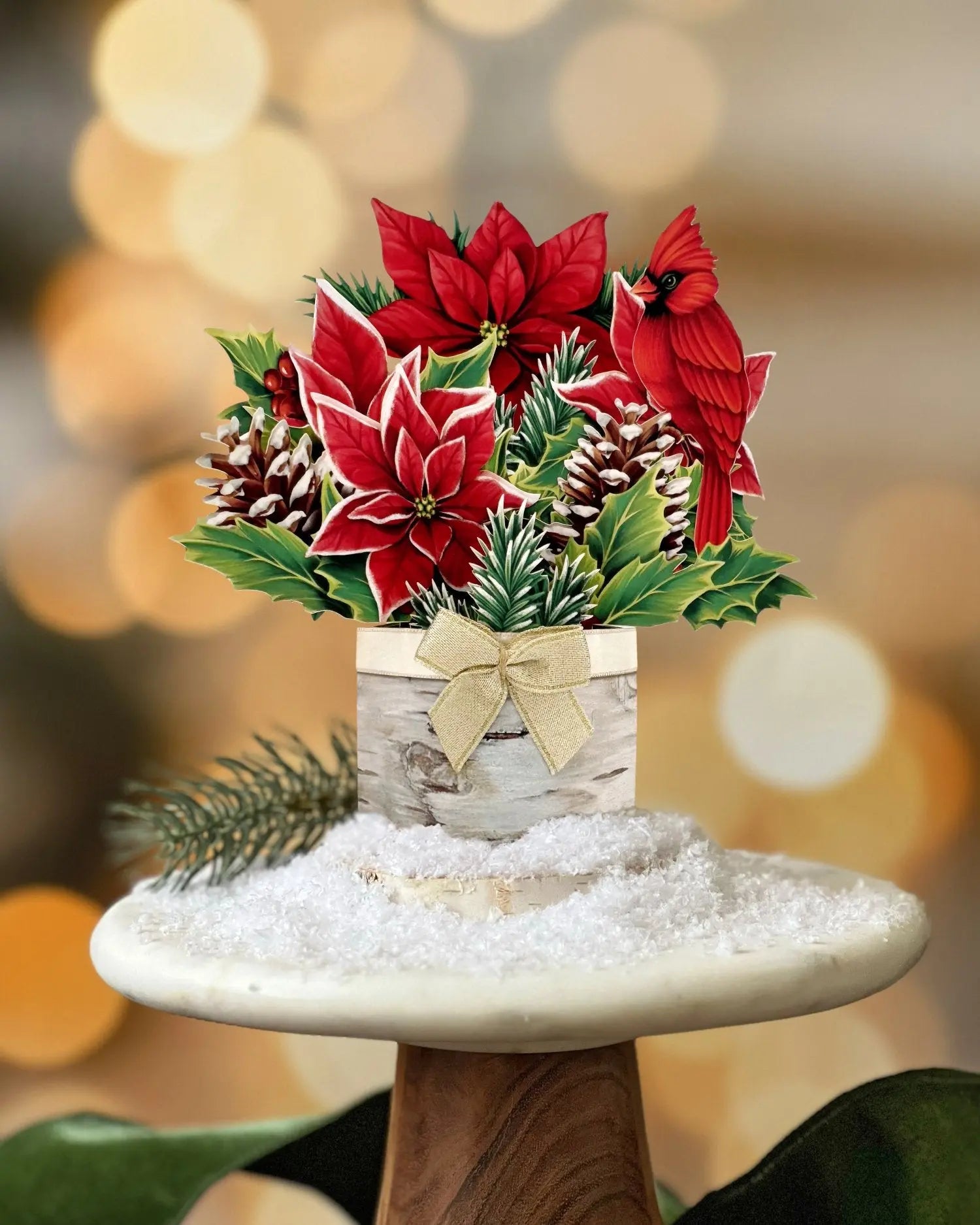 Mini Birch Poinsettia
