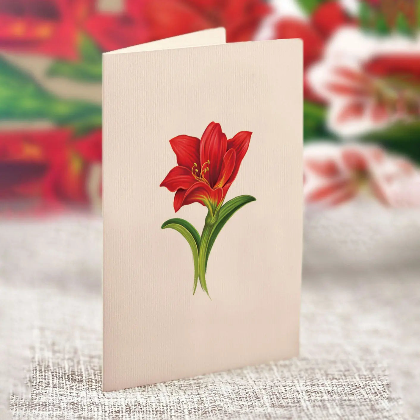 Mini Christmas Scarlet Amaryllis Pop-Up Card - FreshCut Paper