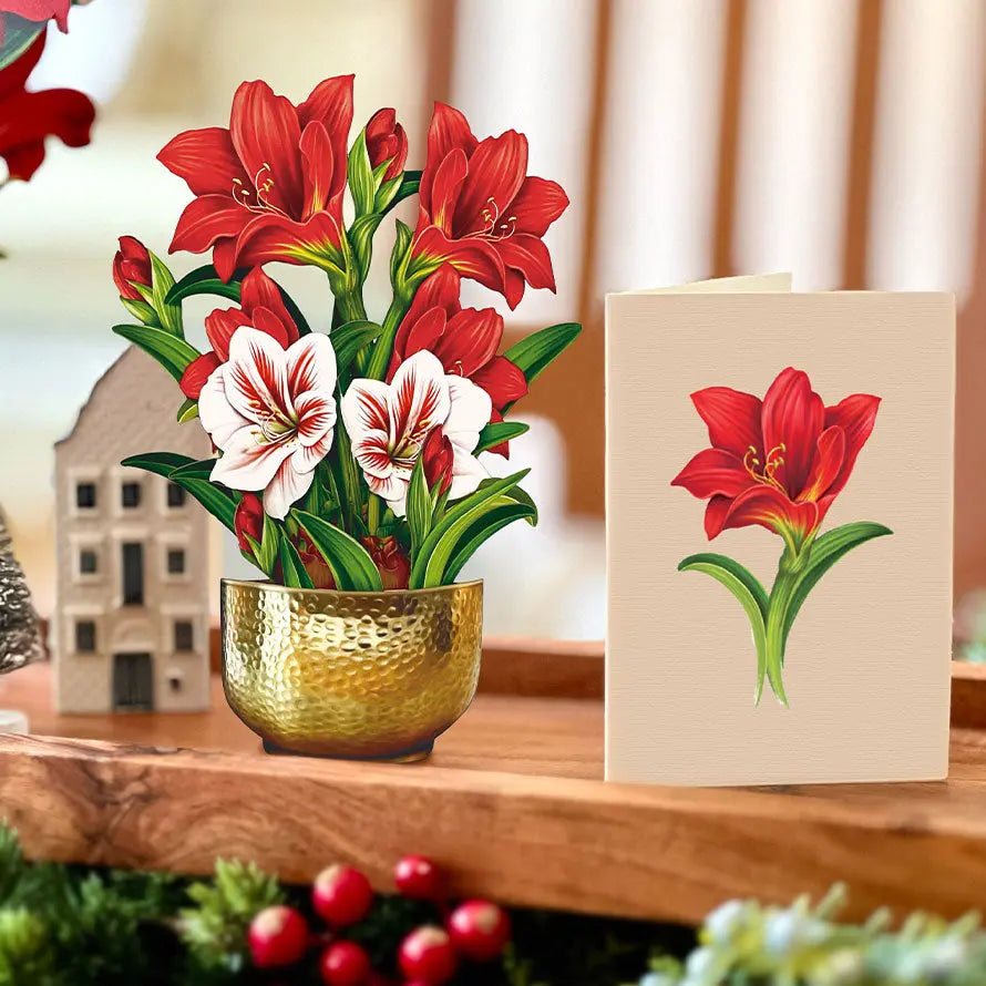 Mini Christmas Scarlet Amaryllis Pop-Up Card - FreshCut Paper