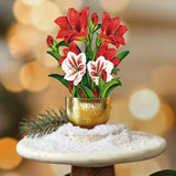 Mini Scarlet Amaryllis