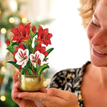 Mini Scarlet Amaryllis with gold-colored pot
