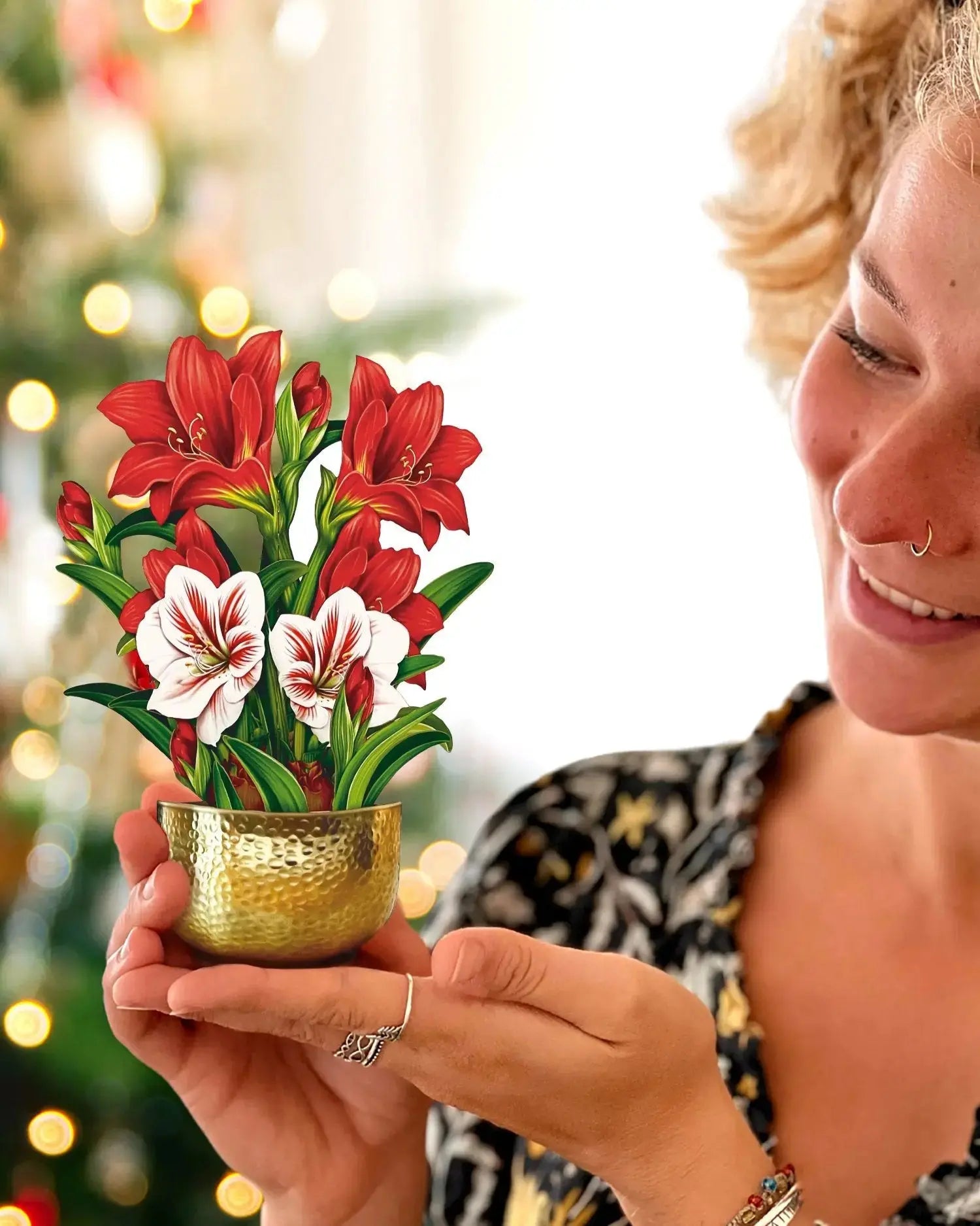 Mini Scarlet Amaryllis with gold-colored pot