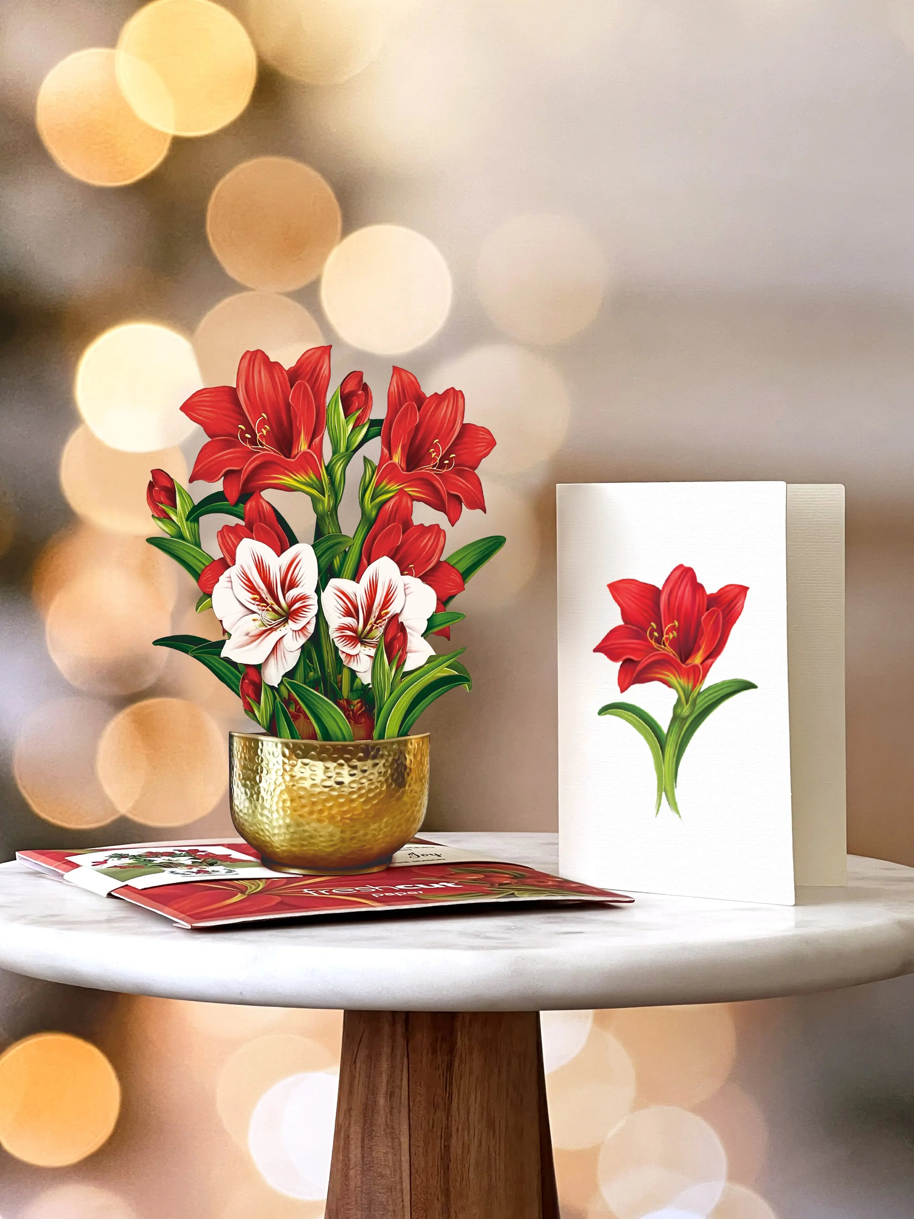 Mini Scarlet Amaryllis with envelope and notecard
