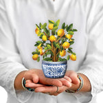Mini Lemon Tree with Blue Pot