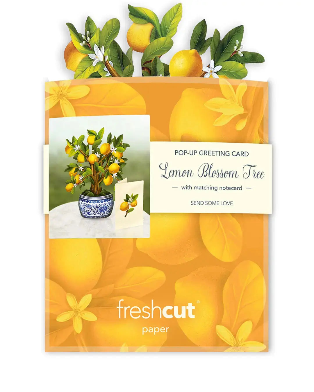 Lemon Blossom with Yellow Envelope