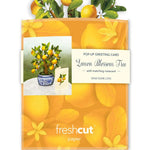 Lemon Blossom with Yellow Envelope