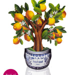 Mini Lemon Tree with White Blossom
