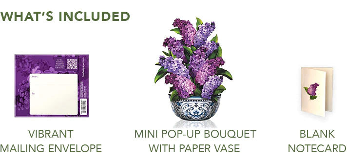 Mini Garden Lilacs
