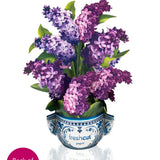 Mini Garden Lilacs
