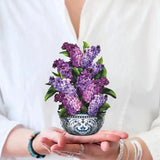 Mini Garden Lilacs