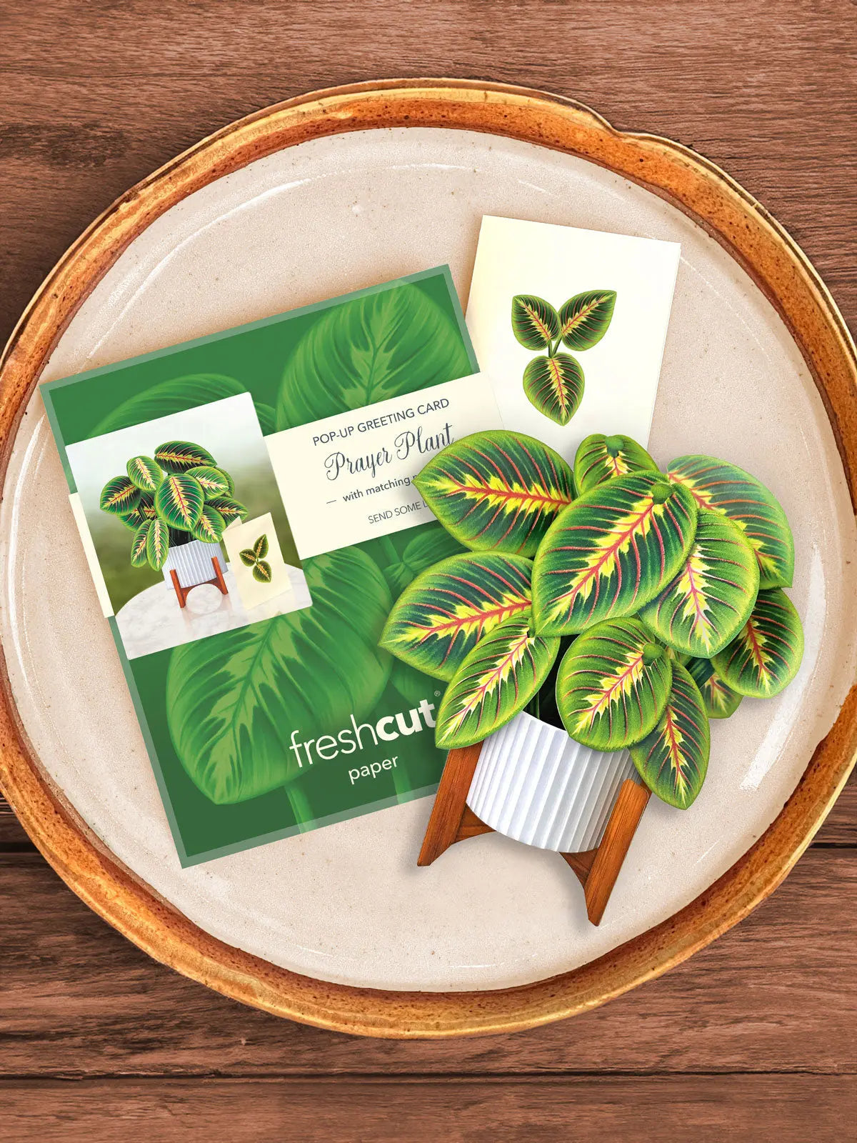 Mini Prayer Plant Pop-Up Card FreshCut Paper