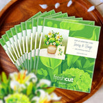 Mini Ivory & Sage Pop-Up Card FreshCut Paper