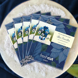 Mini Blue Poinsettia Pop-Up Card - FreshCut Paper