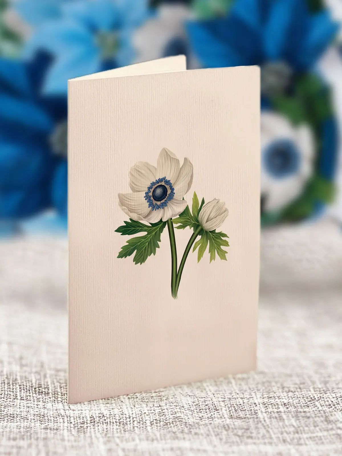 Mini Blue Poinsettia notecard