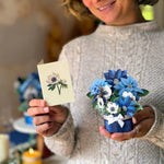 Mini Blue Poinsettia