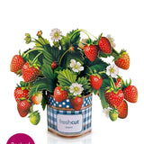 Mini Strawberry Blossom Pop-Up Card - FreshCut Paper