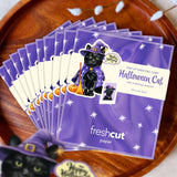 Mini Halloween Cat Pop-Up Card FreshCut Paper