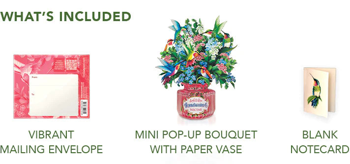 Mini Hummingbird Oasis