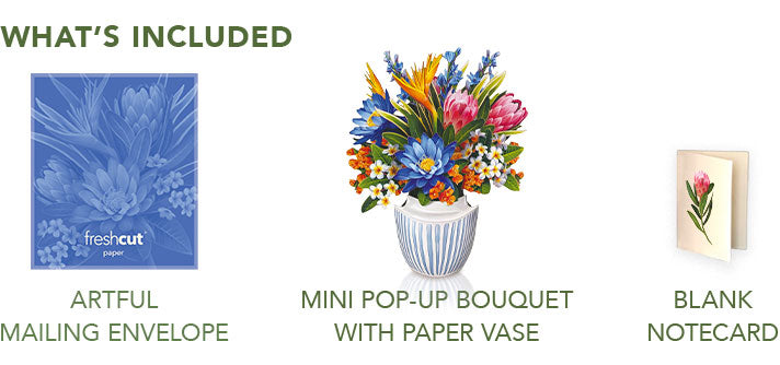 Mini Tropical Paradise