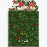 Mini Festive Poinsettias