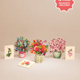 Year of Flowers Boxed Set of 12 (Second Edition)