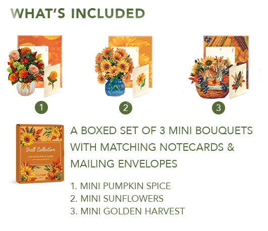 Fall Collection 3 Pack