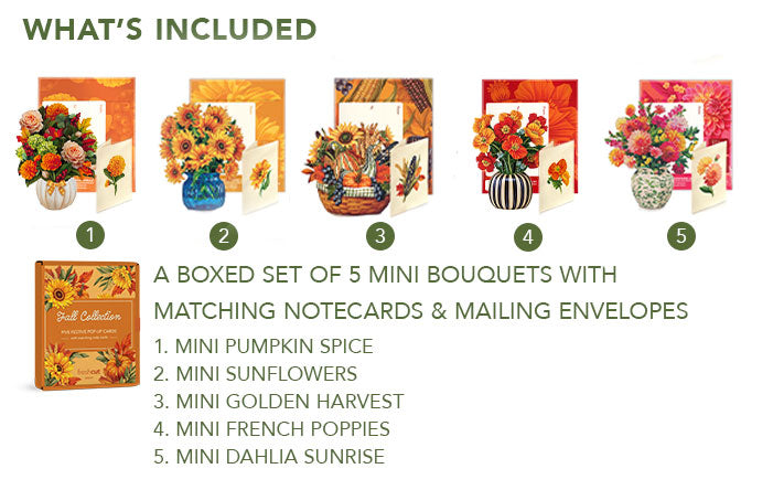 Fall Collection 5 Pack