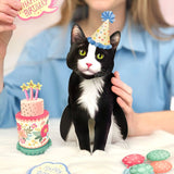 Birthday Tuxedo Cat Pop-Up Card FreshCut Paper