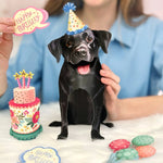 Birthday Black Lab Pop-Up Card FreshCut Paper