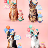 Party Cats Collection