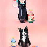 Party Cats Collection