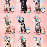 Party Pups Collection