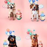 Party Pups Collection