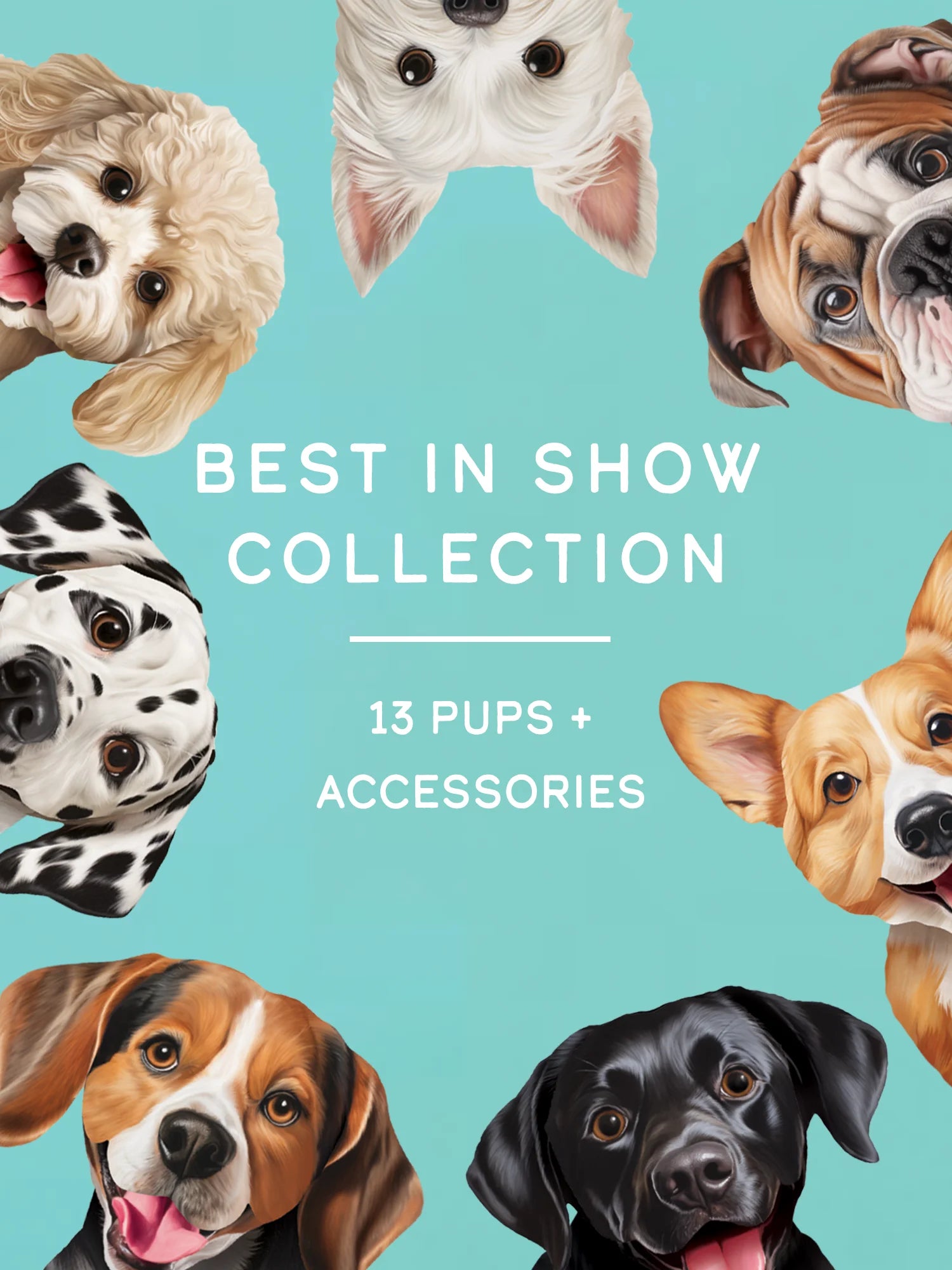 Best In Show Collection