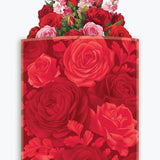 Blooming Roses