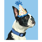 Birthday Boston Terrier Card Freshcut Paper
