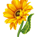 Sunflowers New Vase Card - FreshCut Paper