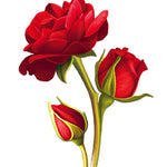 Blooming Roses Card - FreshCut Paper